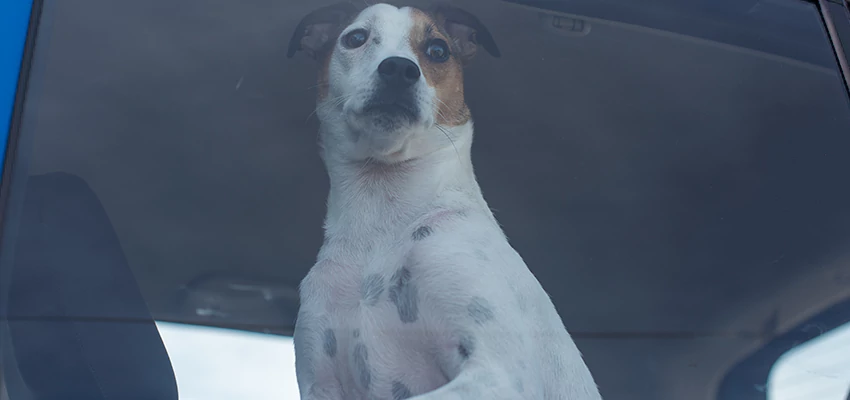 Car Lockout Solutions in Marysville, California